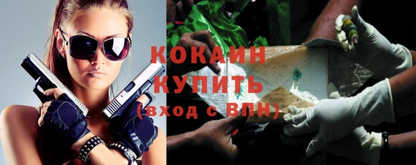 apvp Няндома