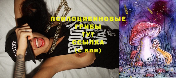 Альфа ПВП Алексин