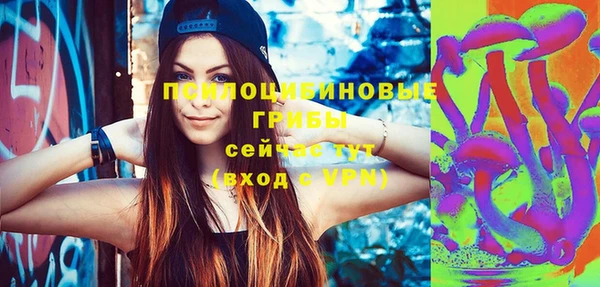 Альфа ПВП Алексин