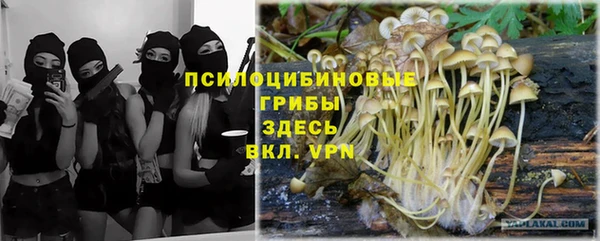 Альфа ПВП Алексин