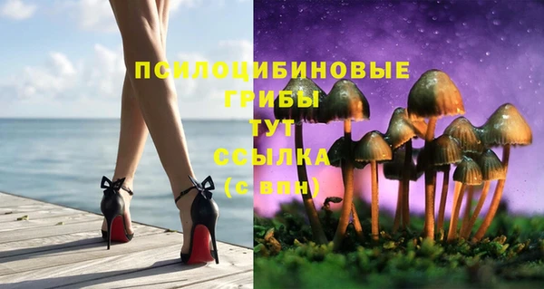 Альфа ПВП Алексин