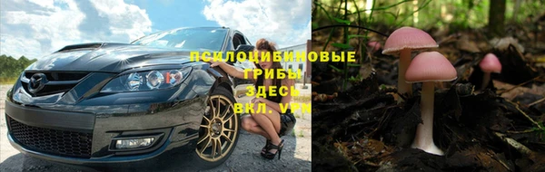 гидропоника Алексеевка