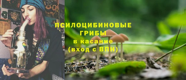 амф Алзамай